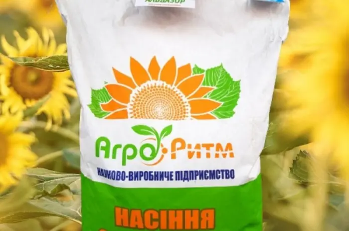 Насіння соняшника Альдазор – висока врожайність та стійкість- фото № 1