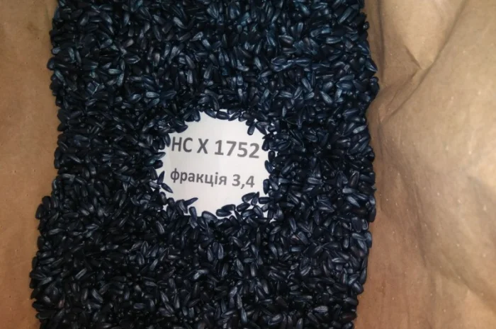 Гібрид соняшника НС Х 1752 SUMO (під Гранстар)- фото № 4