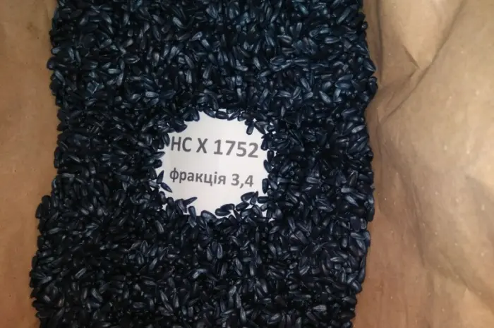 Гібрид соняшника НС Х 1752 SUMO (під Гранстар)- фото № 4