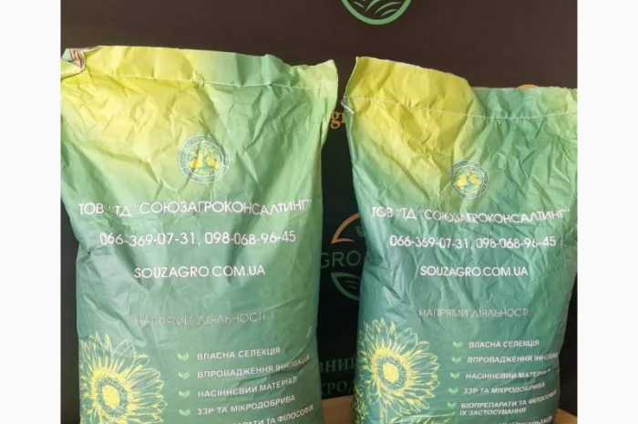 Сортовое насение подсолнечника Сур для продажи- фото № 1