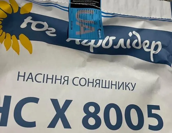 Насіння соняшника гібрид НС Х 8005- фото № 1