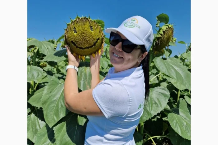 Насіння соняшника КЛАУС для високих врожаїв- фото № 2