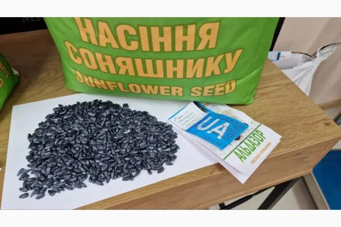 Насіння соняшника Альдазор під Гранстар- фото № 3