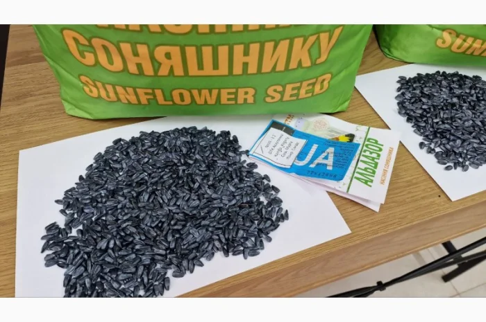 Насіння соняшника Альдазор під Гранстар- фото № 4