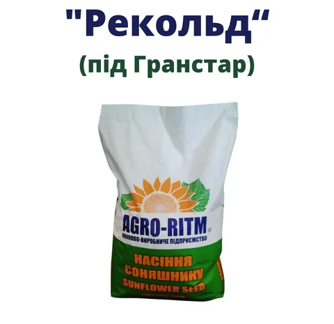 Насіння соняшника Рекольд для гранстару- фото № 1