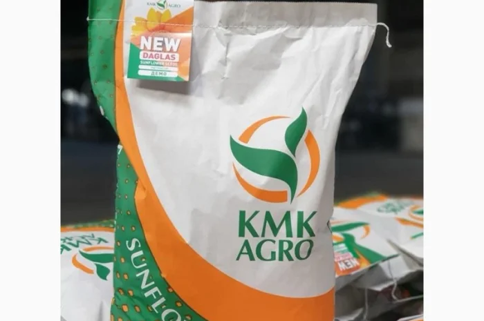 Насіння соняшника гібрид БАСТЕР в продажу- фото № 5