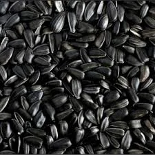 Продам семена подсолнечника Омега (фракция экстра) под технологию Экспресс- фото № 2