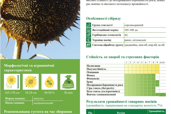 Насіння соняшника ФОЛК під гранстар- фото № 3