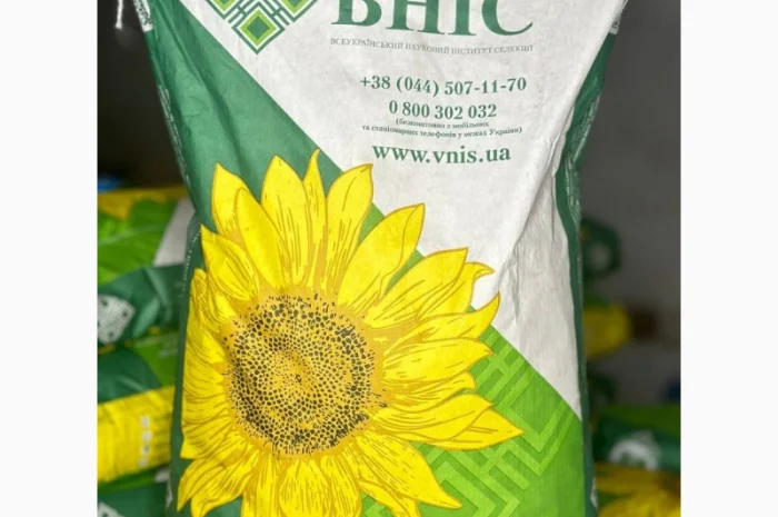 Насіння соняшника ФОЛК під гранстар- фото № 1