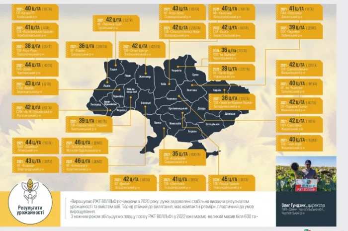 Насіння соняшника ВОЛЛЬФ RAGT - ранньостигле- фото № 2