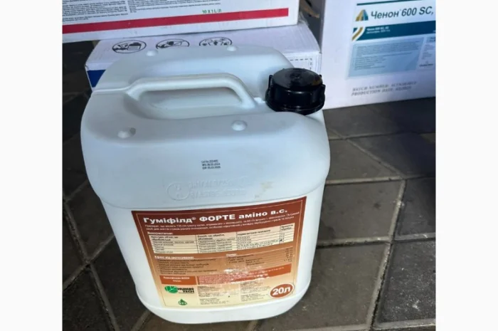 Насіння соняшнику ЕС БЕЛЛА (ES BELLA) ранньостиглий гібрид- фото № 2