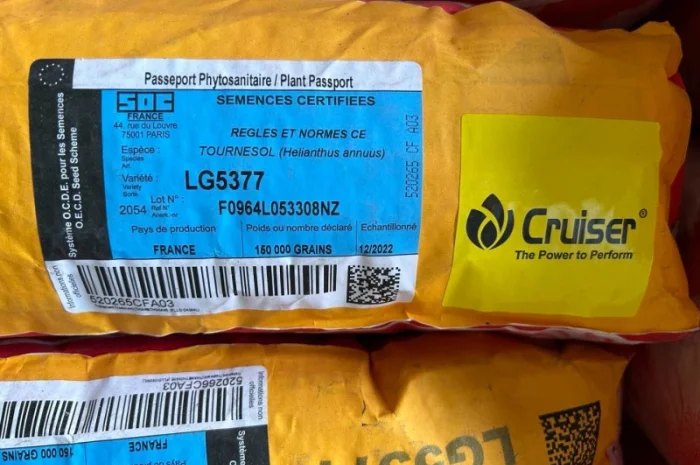 Насіння соняшника LG 5377 от Limagrain- фото № 1