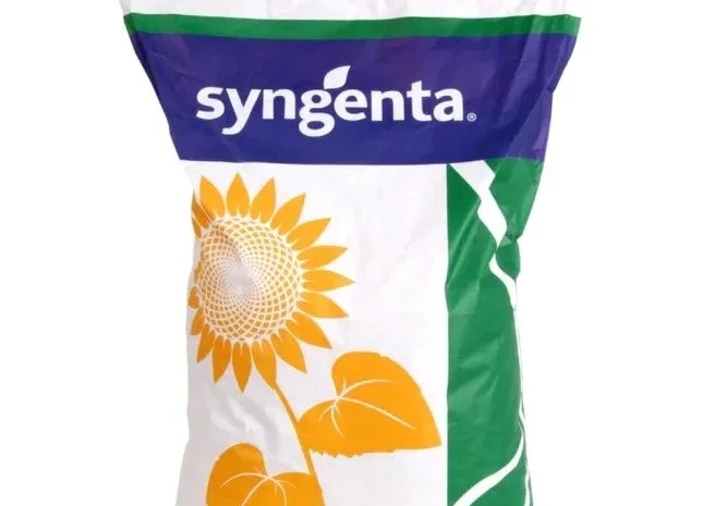 Сайберік HTS - семена подсолнечника- фото № 1