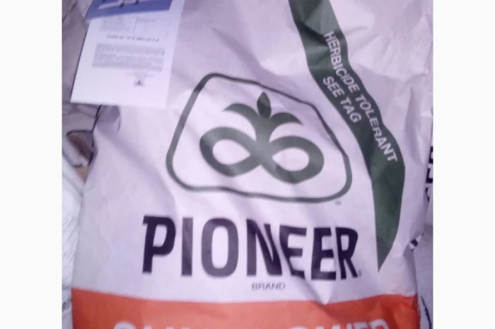 Насіння соняшника PIONEER P64LE99 (П64ЛЕ99) в продаже- фото № 3