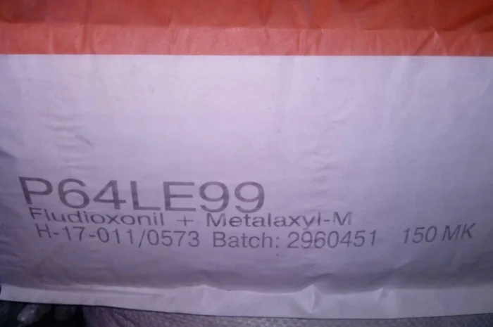 Насіння соняшника PIONEER P64LE99 (П64ЛЕ99) в продаже- фото № 2