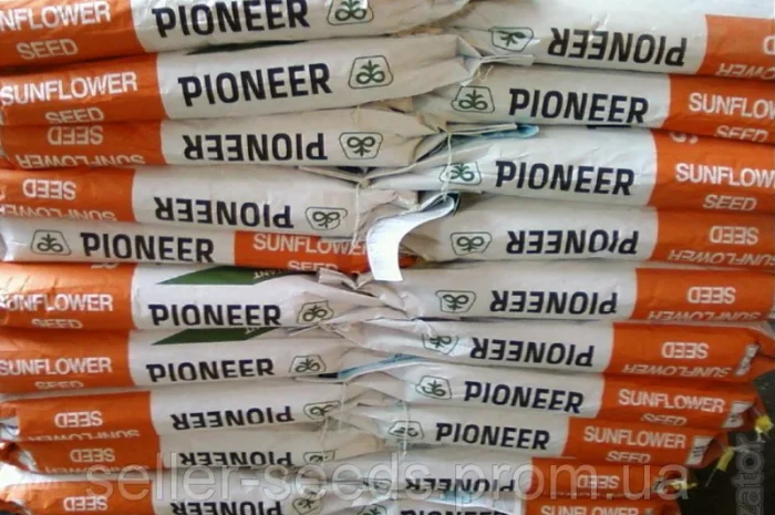 Насіння соняшника PIONEER P64LE99 (П64ЛЕ99) в продаже- фото № 1