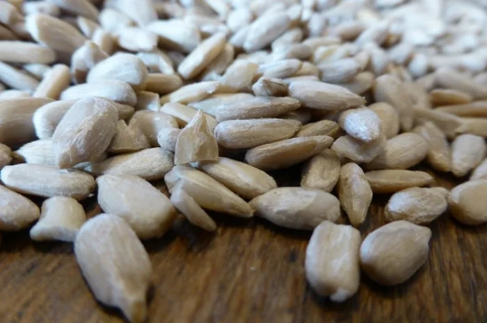 Покупаем семечки подсолнечника масленичный и кулинарный на экспорт от 20 тонн- фото № 1