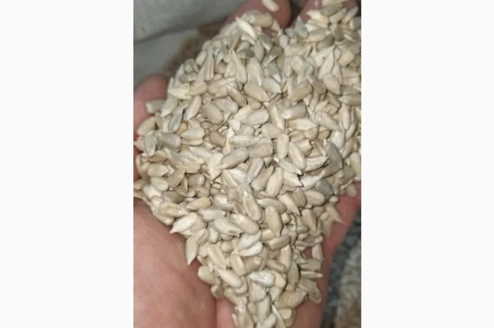 Продажа ядра семян подсолнечника на экспорт от производителя, от 20 тонн- фото № 4