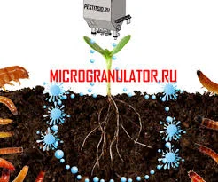 Соняшник singenta- фото № 1