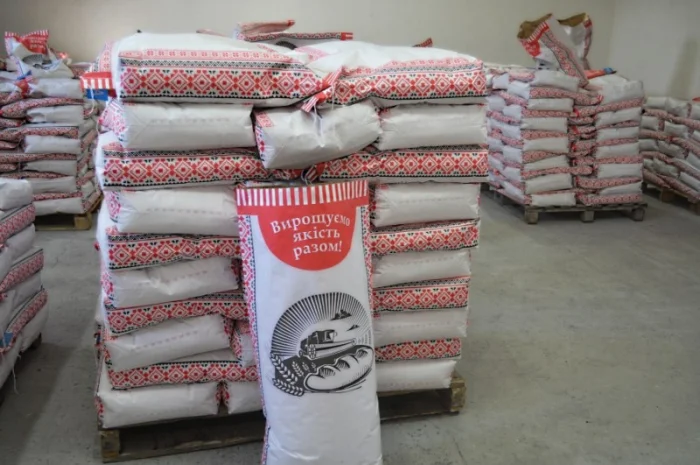 Насіння соняшника Ново-Альє | Євро-Лайтінг- фото № 3