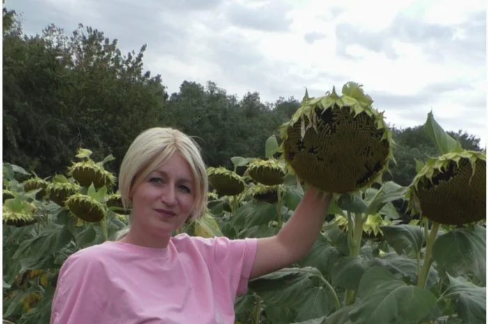 Насіння соняшника Аркос - високоврожайний гібрид- фото № 1