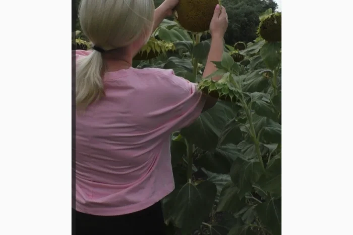 Насіння соняшника Даглас A-G гранстар 50гр – продаж- фото № 1