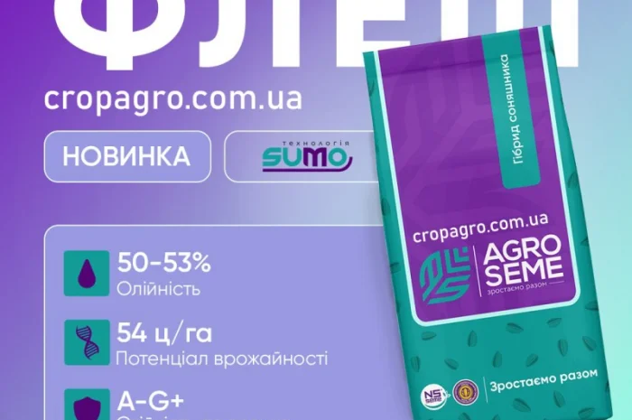 Насіння соняшника Флеш – ранній гібрид під Гранстар- фото № 1