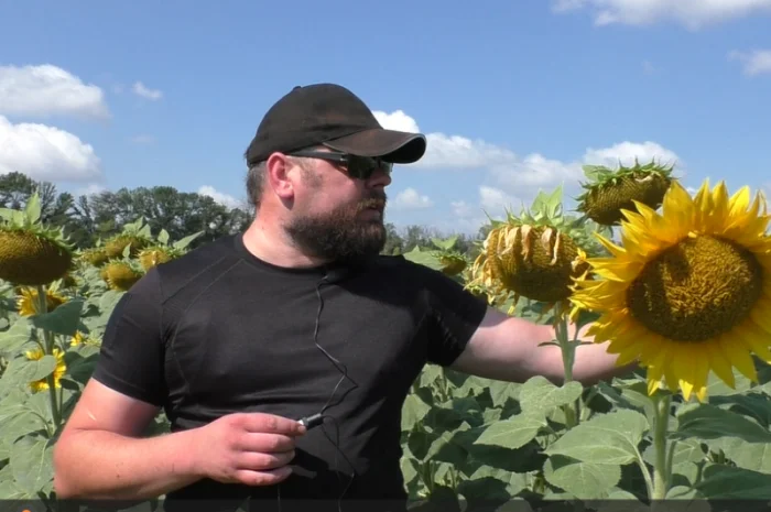 Насіння соняшника НС Х 8005 – продаж під гранстар- фото № 1