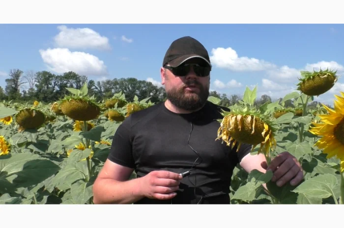 Семена соняшника НСХ 6749 SU на продажу- фото № 1