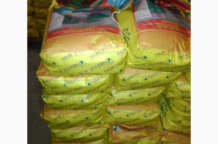 Семена подсолнечника САНГАЙ в продаже- фото № 1