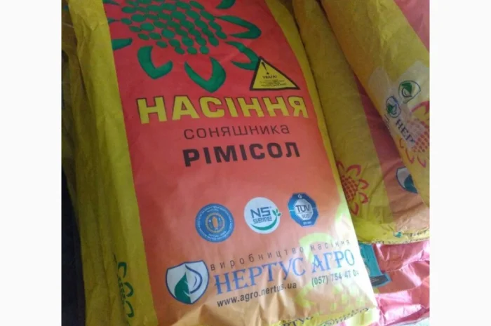 Гибриды подсолнечника засухоустойчивы от заразихы Фалкон, Златибор- фото № 1