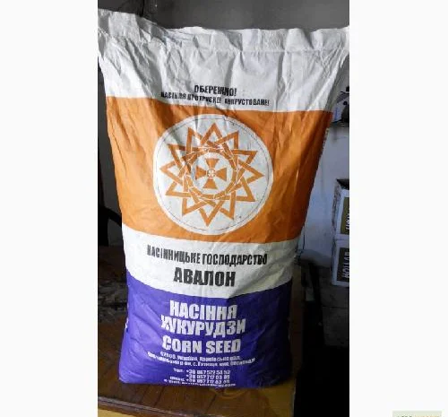 Продаются семена подсолнечника Златсон- фото № 1