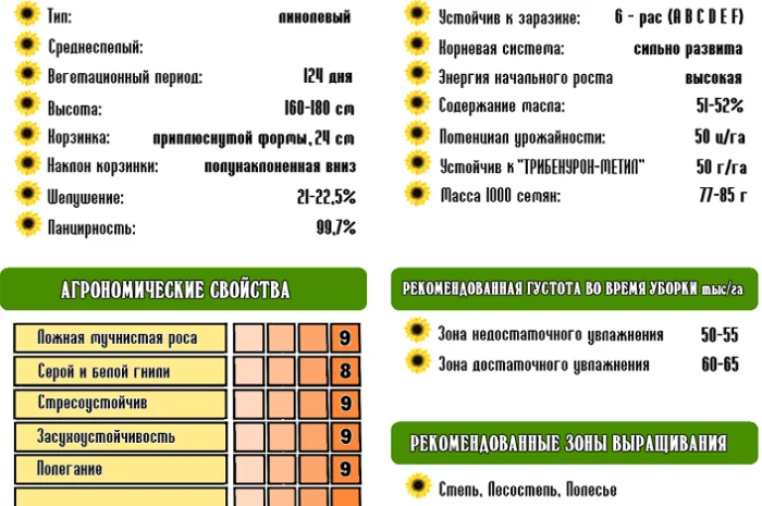 Семена соняшника Рона - якісні та стійкі- фото № 2