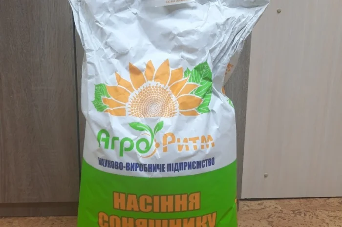 Насіння соняшнику Рекольд – висока врожайність- фото № 1
