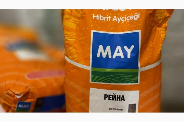 Насіння соняшника Рейна у Дніпрі- фото № 1