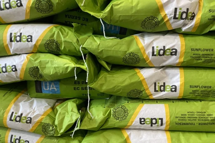 Насіння соняшнику ЕС Белла - Lidea (A-G)- фото № 1