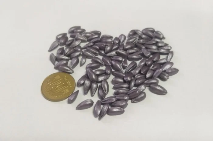 Насіння соняшнику ЕС Белла - Lidea (A-G)- фото № 2