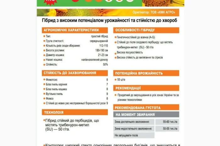 Насіння соняшника Даглас (Екстра ) ( Екстра +) (Стандарт +) 2023 рік, КМК Агро, Україна- фото № 1