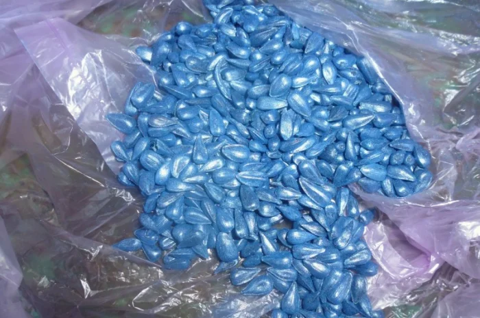 Насіння соняшника сорту Міраж- фото № 2