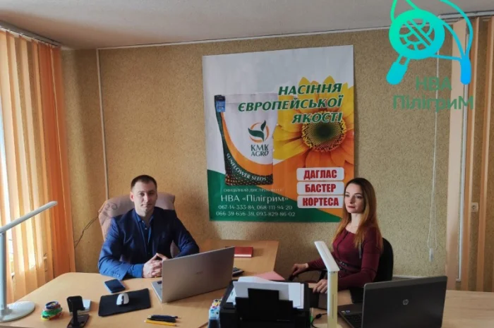 Семена соняшника "Флокс" 50 гр – високоякісний гібрид для успішного вирощування- фото № 4