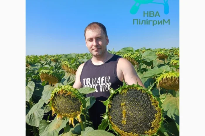 Семена соняшника "Флокс" 50 гр – високоякісний гібрид для успішного вирощування- фото № 2