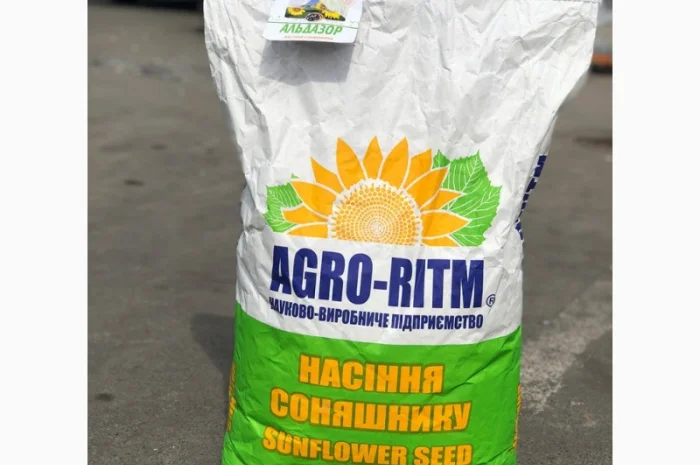 Семена подсолнечника Альдазор – устойчивый к гранстару, высокоурожайный- фото № 1