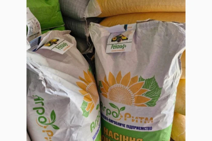 Насіння соняшнику Рекольд – стійкий до бур'янів, для складних умов- фото № 1