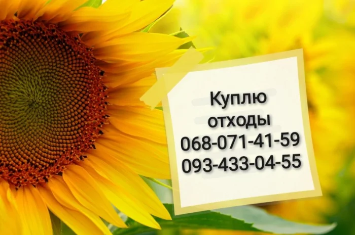 Куплю відходи ділові соняшника- фото № 1
