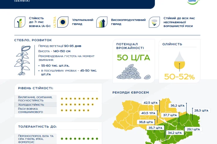 Насіння соняшника TOR 7+ Сумо NS 7749 в Харькове- фото № 1