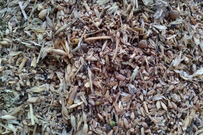 Закупівля зерновідходів, некондиції- фото № 1