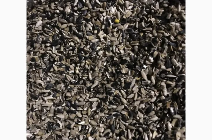 Куплю семечки второго сорта- фото № 1