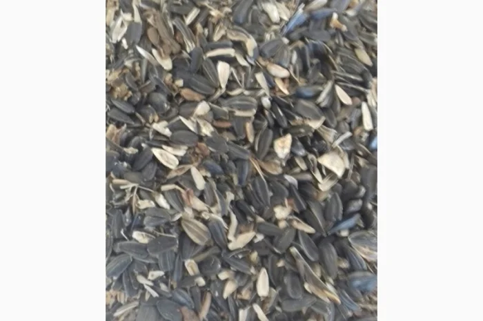 Куплю семечки второго сорта- фото № 2