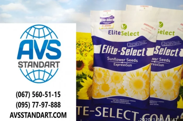 Семена сумо ЕС Саксон под Гранстар. Гибрид Саксон устойчив к расам заразихи A-G+. Стандарт- фото № 3