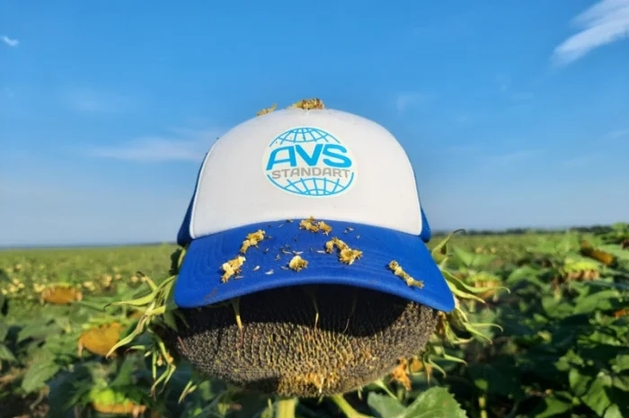 Семена подсолнечника под Гранстар ЕС АЛЬФА. Гибрид ЕС АЛЬФА заразиха A-G, 40ц/га. Стандарт- фото № 1